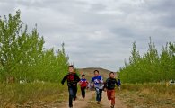 황폐지서 녹색공간으로, 산림청 ‘몽골 그린벨트 조림사업’ 