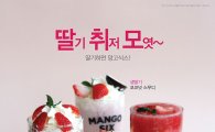 망고식스, 논산 햇딸기로 만든 신제품 15종 출시