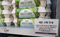 롯데마트, 업계최초로 수입 계란 첫 선봬
