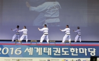 2017 세계태권도한마당 7월29일 안양서 개막