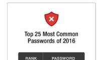 인터넷에서 가장 많이 쓰는 비밀번호 '123456'