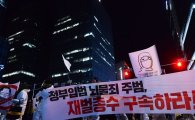 [12차 촛불집회]최강 한파 속 "재벌 개혁·6월항쟁 완성" 뜨거운 함성