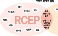 [트럼프發 무역전쟁]TPP 좌초…中 주도 RCEP 갈아타기 고심