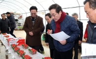 이낙연 전남지사,담양 딸기 재배농가 방문 