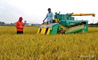 지난 10년 쌀 초과 생산 280만t…공급과잉 되풀이