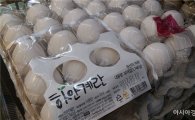 미국산 계란 수입 50일…"애물단지 전락"