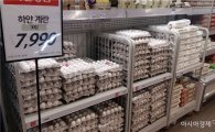 "비싸도 국산 계란 산다"…美 계란, 값 내려도 안 팔려 "추가 수입 불투명"