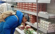 "대형마트 계란가격 오를 이유 없다"…정부, 닭값 이어 계란값 인상 조짐 차단