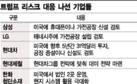 [트럼프리스크 대응나선 기업들] 전·차, 공장 신증설…철·화, 고용 확대 '방점'