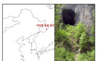 [과학을 읽다]韓 뿌리…8000년 전 '악마문 동굴인'