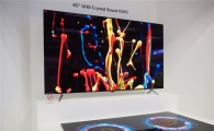 LGD "한국 LCD, 중국 업체 추격에 따라잡힐 것"