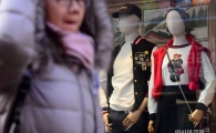 [포토]안은 봄, 밖은 겨울