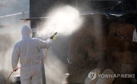 구제역 비상, 196마리 살처분…네티즌 "한우·닭 동물 다 없어지겠네"