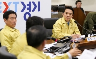 [구제역 초비상]경기도 13만800마리 소 'O+A형' 백신접종