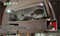 '미운우리새끼' 김건모, 집안에 '건모횟집' 오픈…최고 시청률 기록