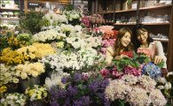 [포토]아이파크백화점, 화려한 '인테리어 꽃' 선뵈