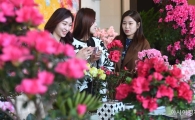 [포토]봄소식 전하는 고운 철쭉
