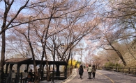 지난해 남산공원 찾은 방문객 수는?