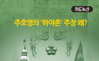 [카드뉴스]'하야론' 주장 왜?