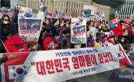 [17차 촛불집회]"500만명 모인다"…목소리 높이는 '탄핵반대' 집회