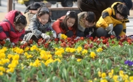[포토]성동구청 봄꽃 식재