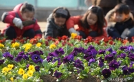 [포토]'봄이 왔어요'