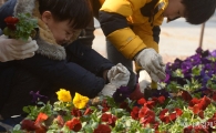 [포토]봄꽃 식재하는 손길 