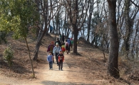 순천 봉화산둘레길 이용자 만족도 전국 ‘최고’
