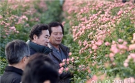 이낙연 전남도지사, 광주 무등농원 장미 재배현장 살펴 