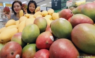 [포토]이마트 "망고가 왔어요"