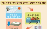 토마토·오이·딸기 이달 출하량 증가에 가격 하락 예상  