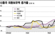 외환 곳간 채워가는 신흥국…자본유출 차단 총력