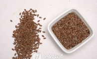 “임신 때도 먹었는데 우리 아기 어떡해”…슈퍼푸드 아마씨드의 배신