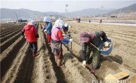 보성군, 논 타 작물 재배 적극 추진
