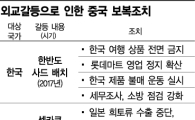 "中 사드보복, 日보다 타격 클 것"