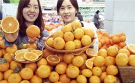 농협유통 "올해 첫 출하 청견 오렌지 맛보세요"