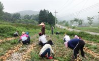 장성군 “일손 걱정 없는 ‘농촌인력지원센터’ 문 열다”