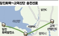 [님비에 몸살앓는 기업들]美선 '땡큐 삼성'…국내선 발묶인 삼성