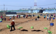 서대문구, 덕양구 소재 지도농장 등 주말농장 분양 