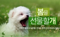 "반려동물도 봄 탄다?"…옥션, 반려동물 용품 최대 69% 할인