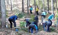 완도군, 편백숲 산림공원에서 새봄맞이 식목일 행사 가져