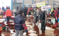 진도군, 암 예방의 날 홍보 캠페인 실시