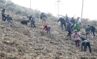 함평군 식목일 기념 나무심기 행사 가져
