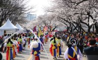 '벚꽃 향연' 여의도 봄꽃축제 4월1일  개막