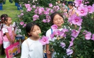 나라꽃 ‘무궁화’ 피는 학교 늘어난다