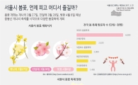 “올 봄 꽃구경 가려면 서두르세요”
