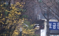 [포토]꽃샘추위와 함께온 봄비