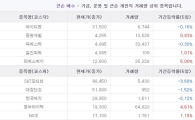 큰손매수] 레버리지를 극대화하는 팍스넷 투자전략