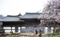 [조문환의 평사리日記]길일(吉日)