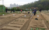 서초구 친환경 도시텃밭 4개소 개장